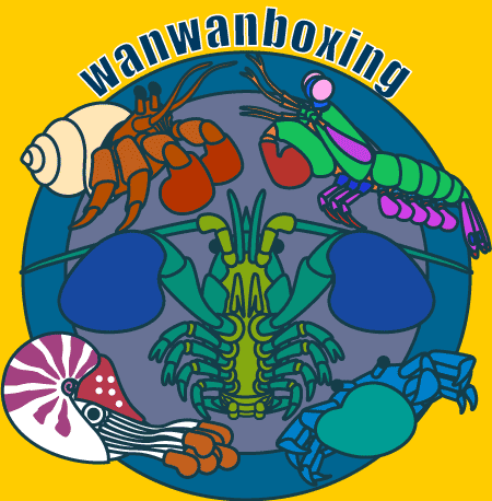 wanwanboxing
