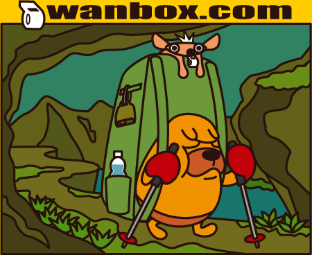 wanbox